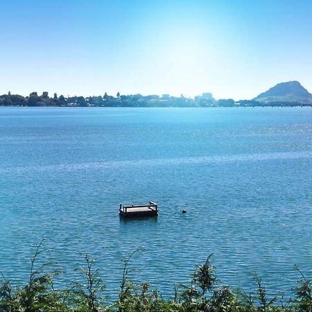 Apartment Near The Water Tauranga Exterior photo