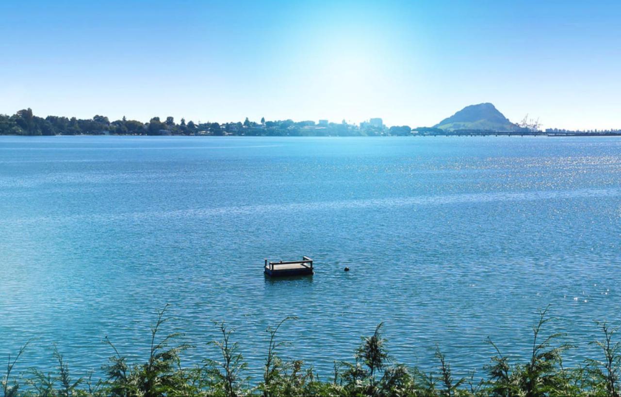 Apartment Near The Water Tauranga Exterior photo